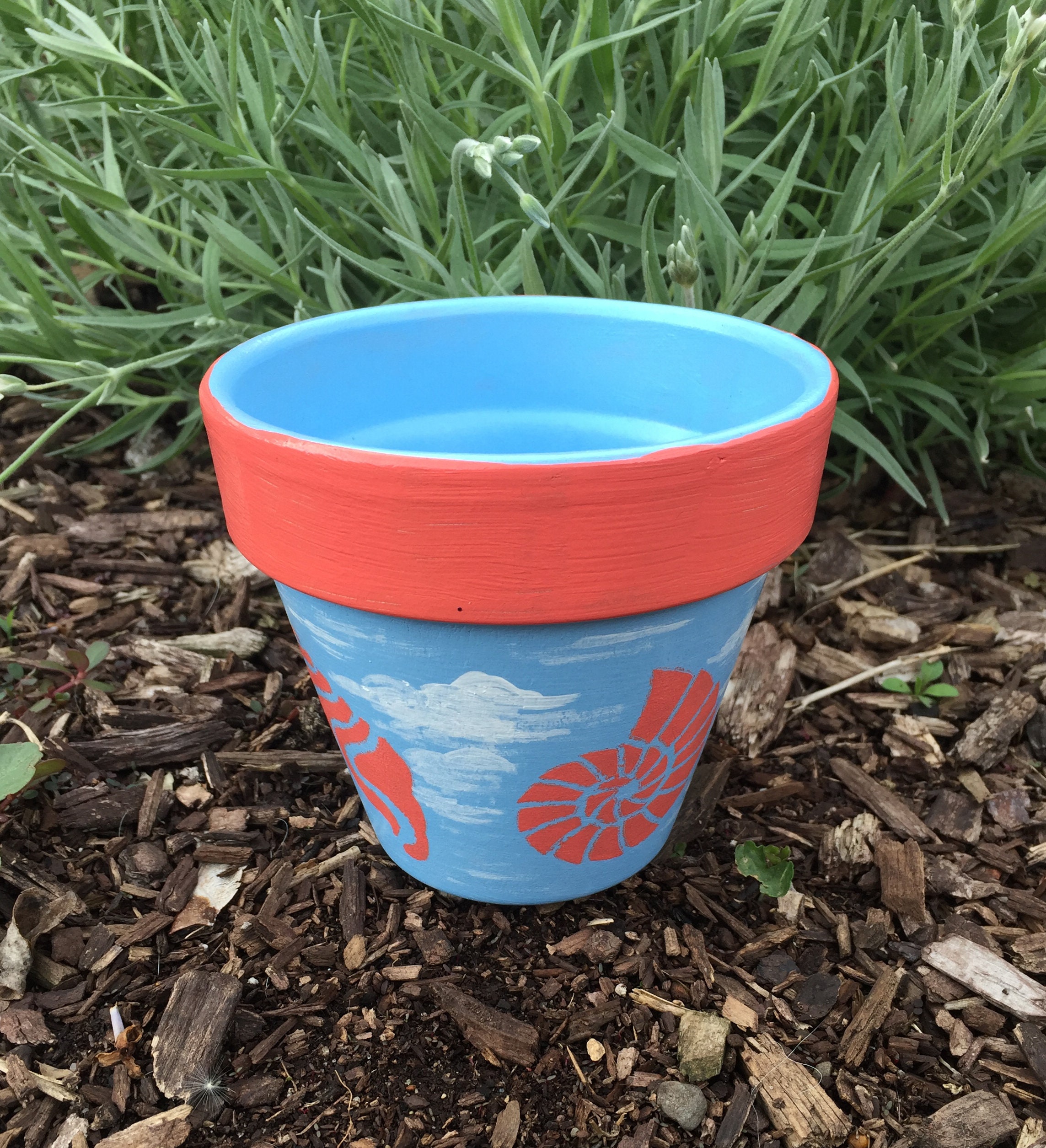 Hand Painted Terra Cotta Flower Pot Personalized Sky Blue with Coral