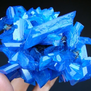 Op de afbeelding: Een cluster van levendige blauwe kristallen, met scherpe, geometrische vormen en een glazige, doorschijnende uitstraling. De kristallen zijn gerangschikt in een dichte, chaotische formatie, wat een visueel opvallende en ingewikkelde weergave creëert.