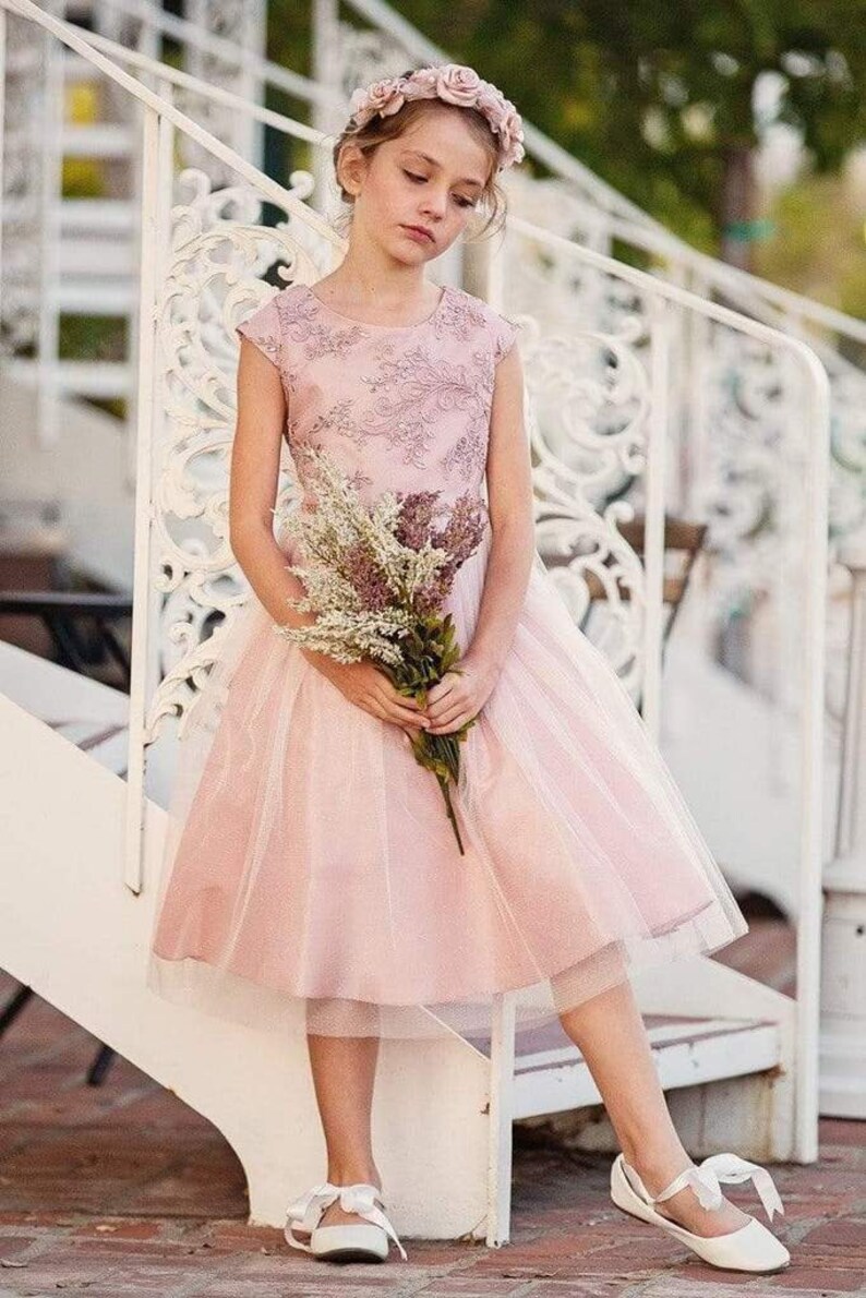 Blush Pink Toddler Holiday Dress Tulle Dress Kids Dress Sequin Etsy