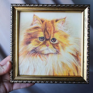 Le dessin au crayon de chat blanc orange moelleux avec la peinture originale aquarelle 6 x 6 encadrée peinture originale encadrée de chat blanc