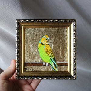 Pintura al óleo de periquito original enmarcada de 4x4, pintura de periquito, periquito de concha, pintura al óleo de pájaros exóticos, loros