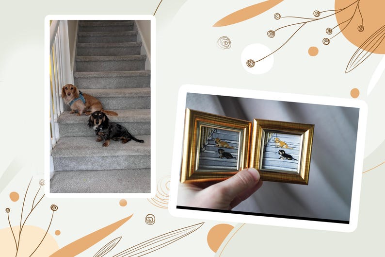 Peut inclure: Deux chiens teckels, un beige et un noir et marron, sont assis sur un escalier recouvert de moquette. Une main tient deux petites peintures encadr&eacute;es de teckels. Les peintures ont des cadres dor&eacute;s et repr&eacute;sentent des chiens sur un porche.