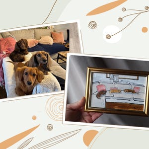 Peut inclure: Trois chiens teckels de diff&eacute;rentes couleurs sont sur un canap&eacute; blanc avec des coussins roses et bleus. Une peinture encadr&eacute;e repr&eacute;sente une sc&egrave;ne similaire de chiens sur un canap&eacute;. Le tableau a un cadre dor&eacute;.