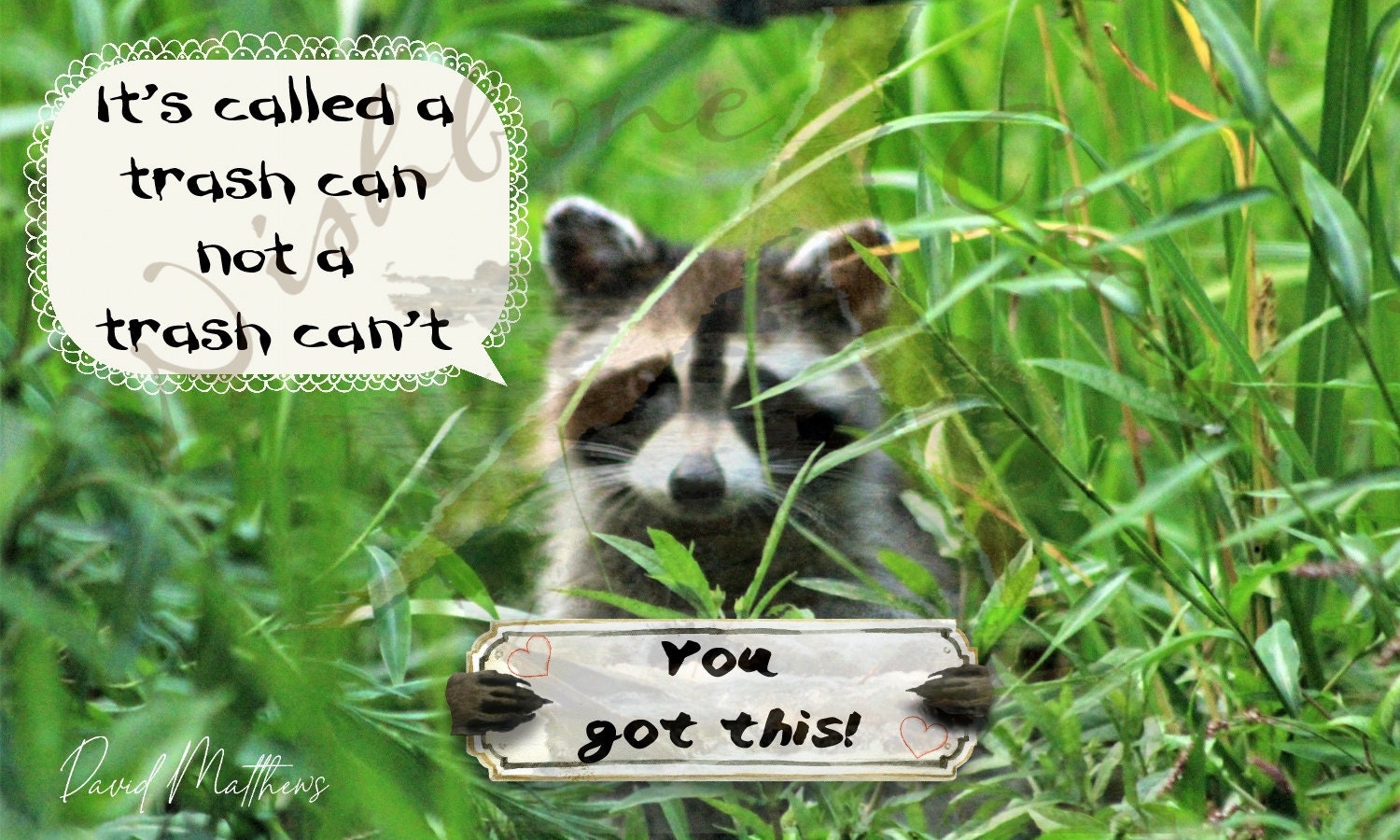 Raccoon You Got This It's Called A Trash Can Not A Trash Etsy