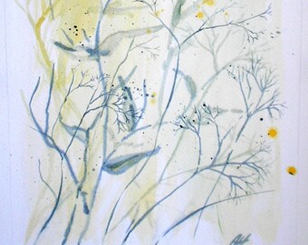 Watercolour painting SEEDS original art by artist Amanda Hawkins 23 x 33 cm unframed, unmounted. Floral art, botanical art, seed pods, twigs