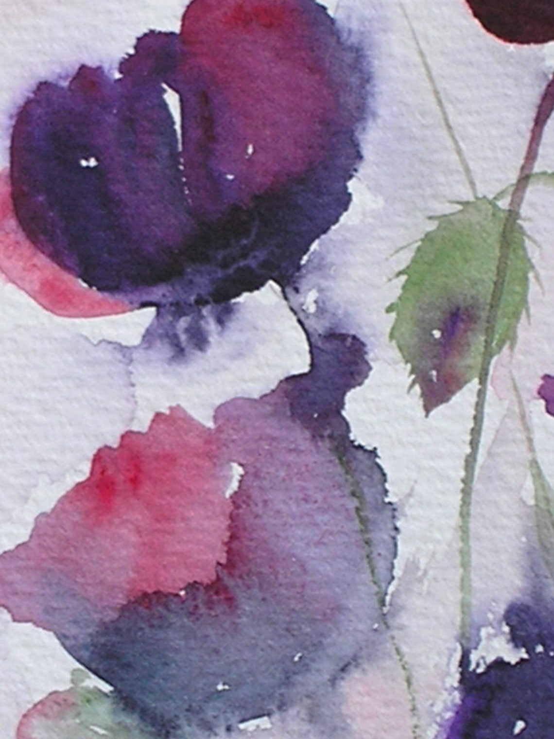 Watercolour Painting BLACK POPPIES 2 Original Art by Artist Etsy UK