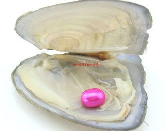Hot sale 50 PCS 7-8mm Rice Oval AAA Freshwater with Pearl oysters,Hot pink,Red,Blue,Orange,Yellow,Green,Champagne,Brown,Black,Bulk,Wholesale