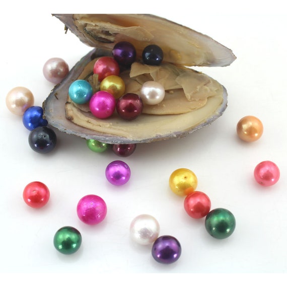 Rainbow Colored Round Edison Pearl Oyster-ADMIX6 10 PCS Akoya Oysters With Edison Pearl Inside Twins 9-12mm AAA