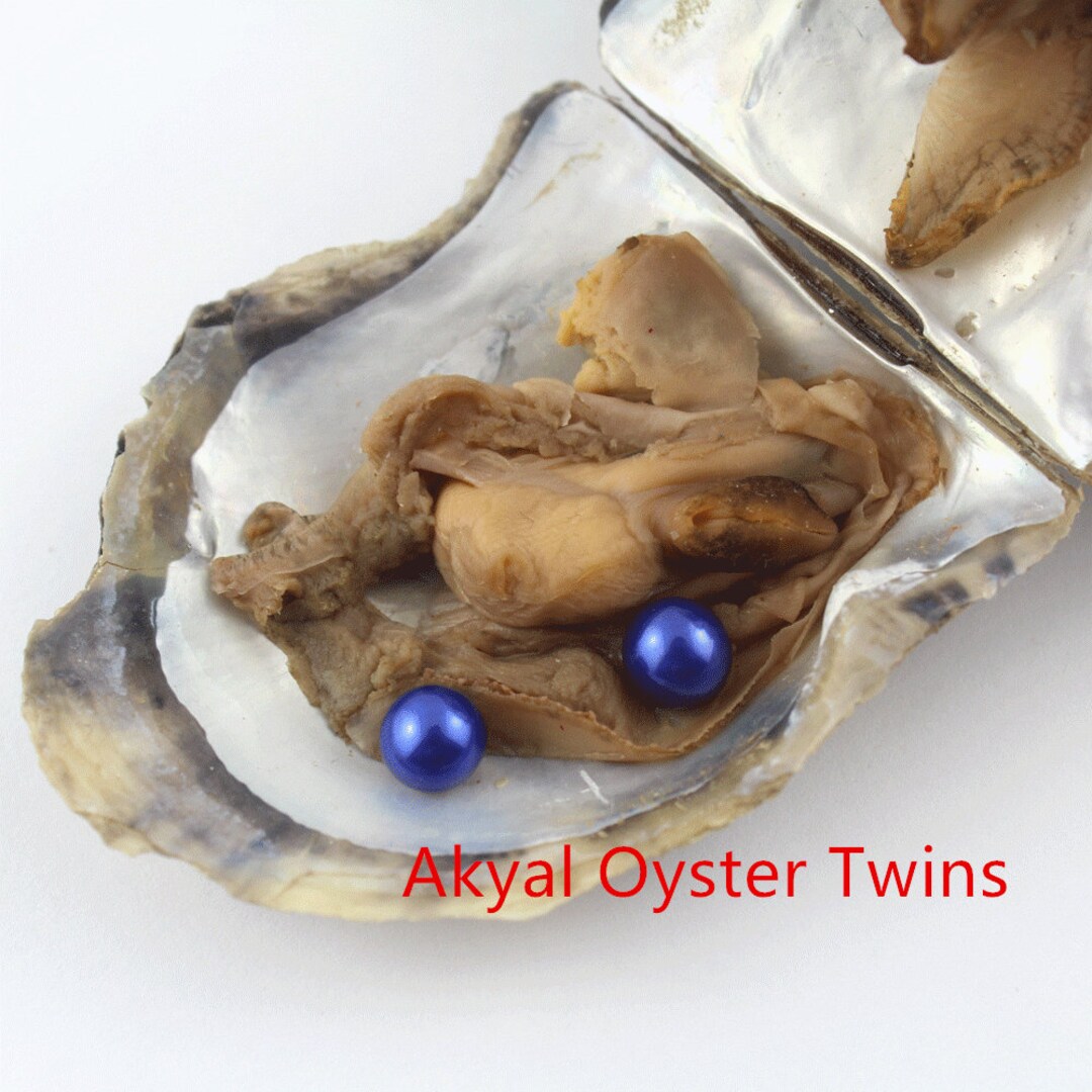 1 PCS Twins Oyster Saltwater Akoya, 68mm AAAA Round Pearl, Twin Pearls