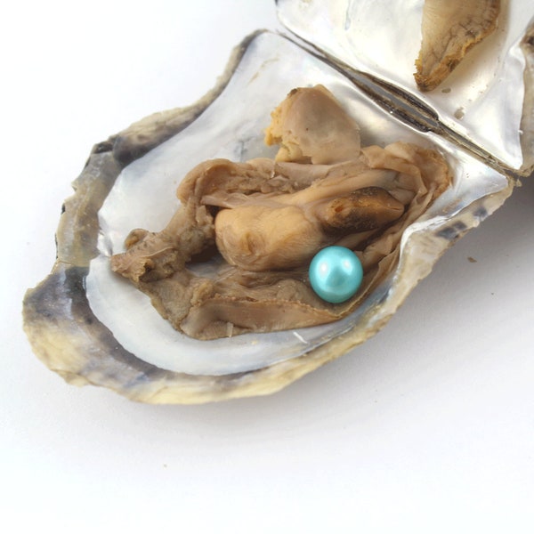 Akoya Oysters Pearl with 7-8mm Round AAAA Pearl in Oyster,Saltwater Pearl Oyster Akoya Pearl Oyster-17#