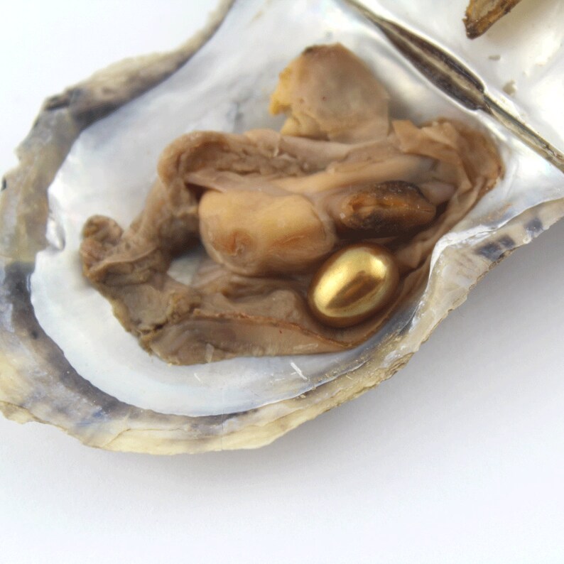 Akoya Oysters Pearl With 78mm Oval AAA Pearl in Etsy