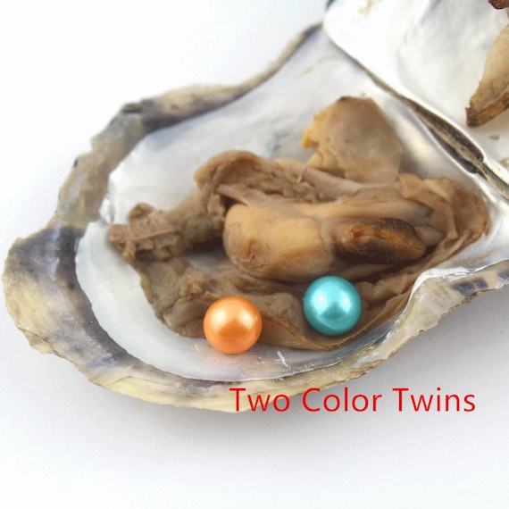 Freshwater Oyster pearl,Rice Oval 7-8mm AAA Pearl in Oyster,Saltwater Pearl Oyster FW Pearl Oyster,Bulk Wholesale 18 Colors C-9#