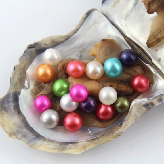 Twins Hot Saltwater Akoya Oyster with 2pcs Round Pearl 6-8mm Mixed Colors Twins Hot Saltwater Akoya Oyster with 2pcs Round Pearl 6-8mm Mixed Colors