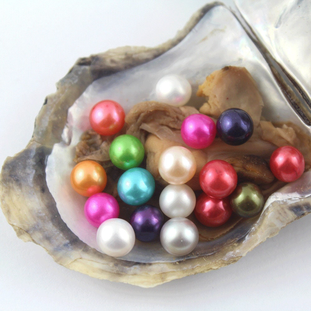 Akoya Oysters Pearl with 7-8mm Round AAAA Pearl in Oyster,Saltwater Pearl Oyster Akoya Pearl Oyster-11#