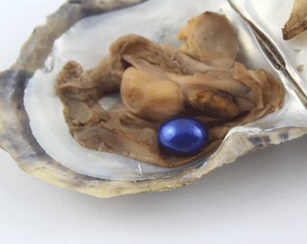 Real Akoya Oysters,7-8mm Oval AAA Pearl in Oyster,Saltwater Pearl Oyster Akoya Pearl Oyster,Blue Pearls, Birthday Party, Bulk Wholesale C-8#