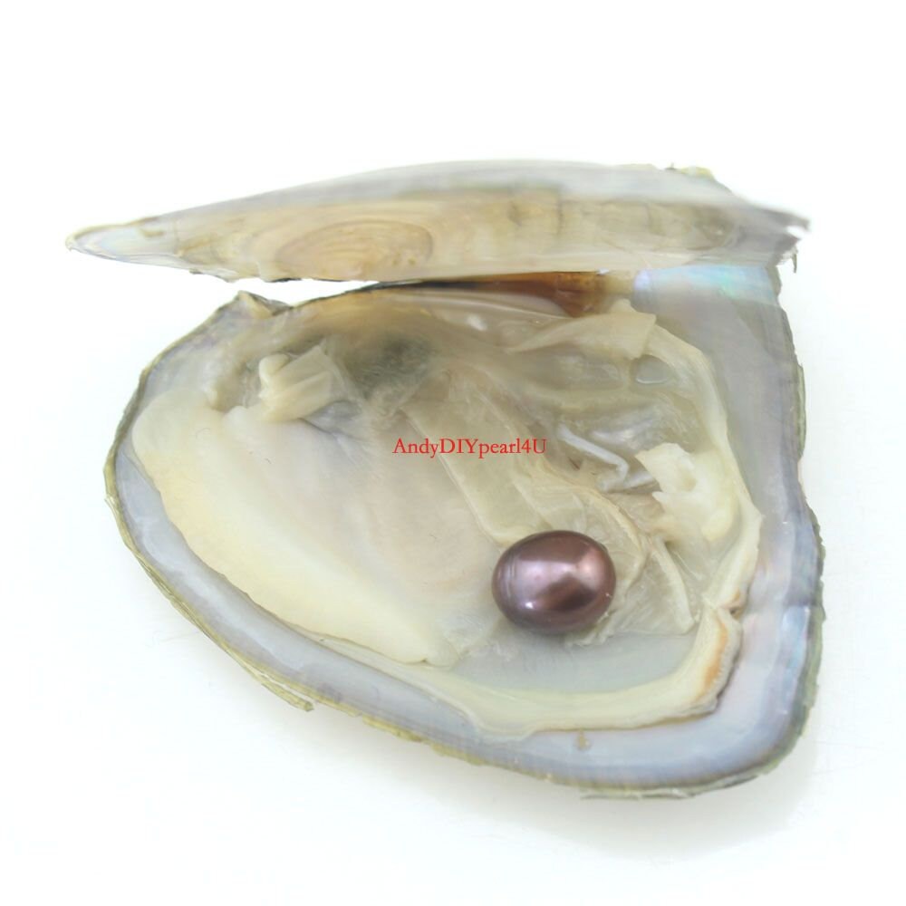 Zoetwater oester parel rijst ovale 78mm AAA parel in oester Etsy Nederland Zoetwater oester parel rijst ovale 78mm AAA parel in oester Etsy Nederland