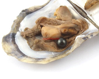 Akoya Pearl Oysters with 7-8mm Round AAA Pearl in Oyster, Saltwater Pearl Oyster Pearl Beads -21#