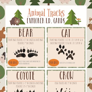Science Animal Tracks ID Printable - Flash Cards für Lernen, Schnitzeljagd und Naturschule SOFORTIGER DOWNLOAD