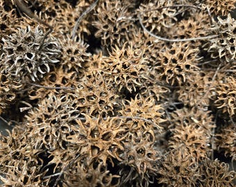 120 Natural Sweet Gum Balls | Witchy Craft Supply, Eco-Friendly Decor, Montessori Nature Play, Altar Offering, DIY Wreath & Ornament Filler