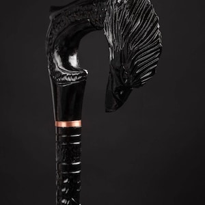 Modern Crazy Wooden Raven Walking Rod med kråkdesign för män och kvinnor bild 5