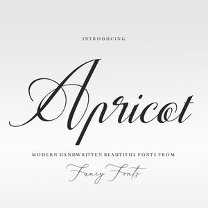 Calligraphy Font, Modern Font, Cutting Font, Script Font, Sketch Font, Branding Font, Wedding Font, Logo Font, Cricut Font, Feminine Font