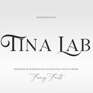 Serif Font, Branding Font, Logo Font, Block Font, Tattoo Font, Stylish Font, Swash Font, Bohemian Font, Modern Font, Decorative Font, Fonts