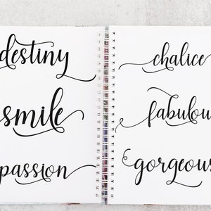Lovely Script Font, Calligraphy Style (Digital Download) image 5