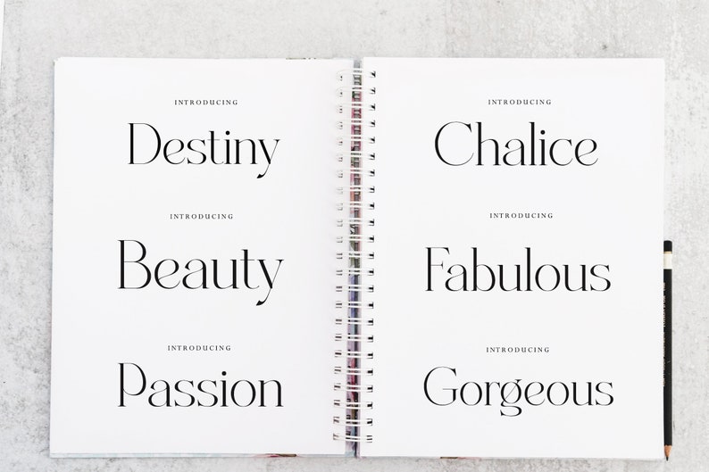 May include: An open notebook with a white background and black text. The text reads "Introducing Destiny", "Introducing Beauty", "Introducing Passion", "Introducing Chalice", "Introducing Fabulous", and "Introducing Gorgeous".