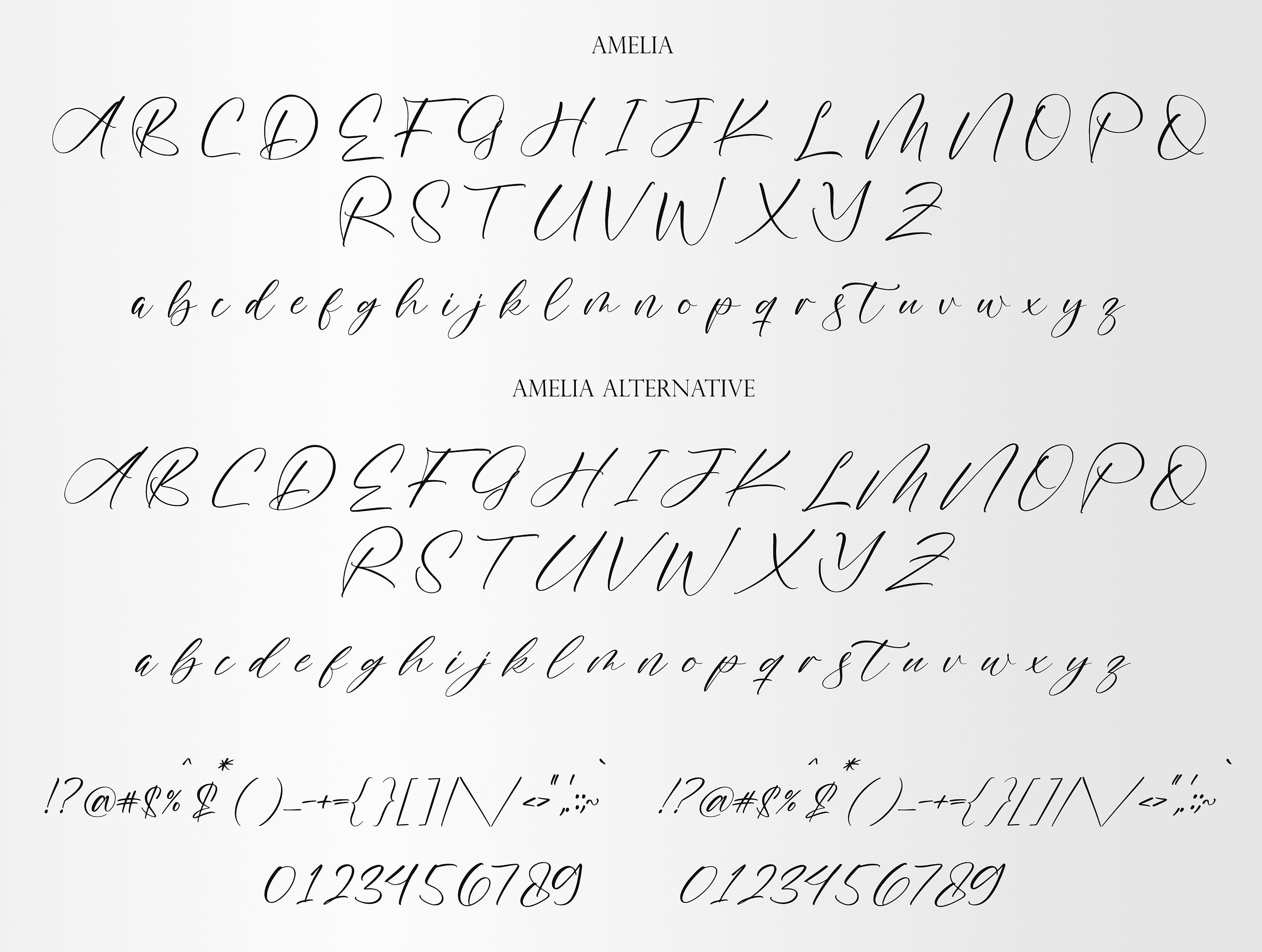 Amelia Calligraphy Font: Handwritten Script for Cricut (TTF Digital ...