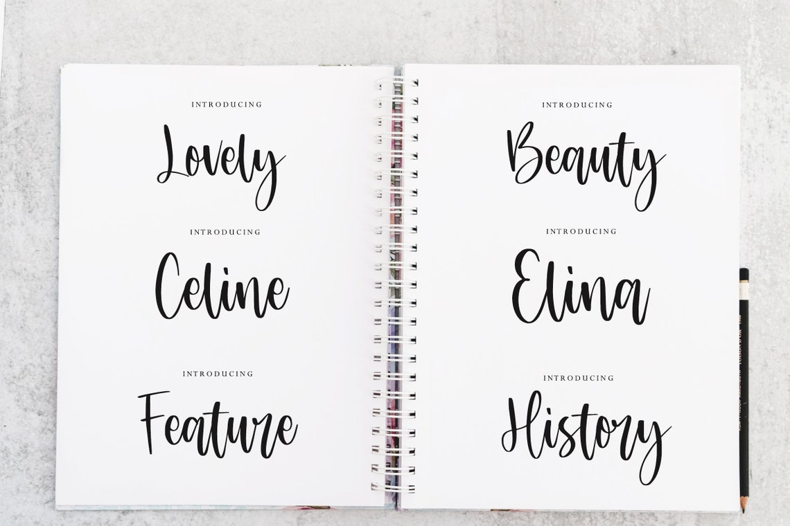 Sandy Script Font: Modern Cursive Handwritten Font (TTF File) - Etsy