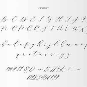 Century Script Font: Modern Calligraphy, Commercial Use (TTF File) - Etsy