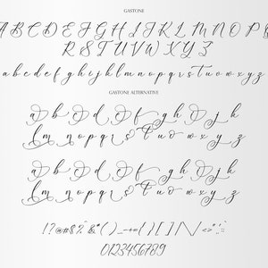 Gastone Script Font: Modern Calligraphy, Wedding Font (TTF, Digital ...