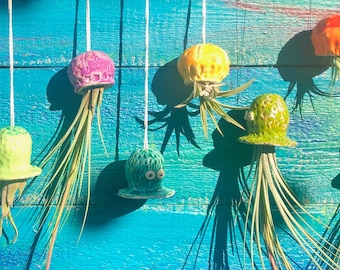 Quallen/Kraken/Nautilus aus Ton OPTIONAL  mit Luftpflanzen/Tillandsien