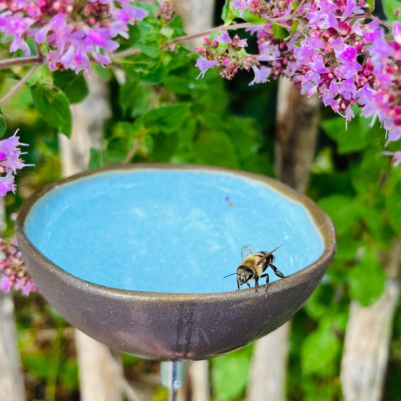 Rain catchers/insect drinkers/bee drinkers 3 different sizes 6 colors image 9