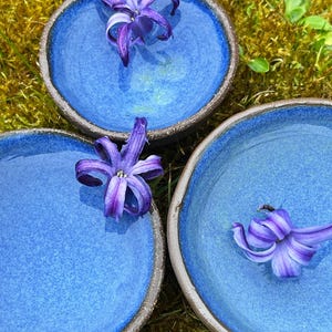 Rain catchers/insect drinkers/bee drinkers 3 different sizes 6 colors nalani