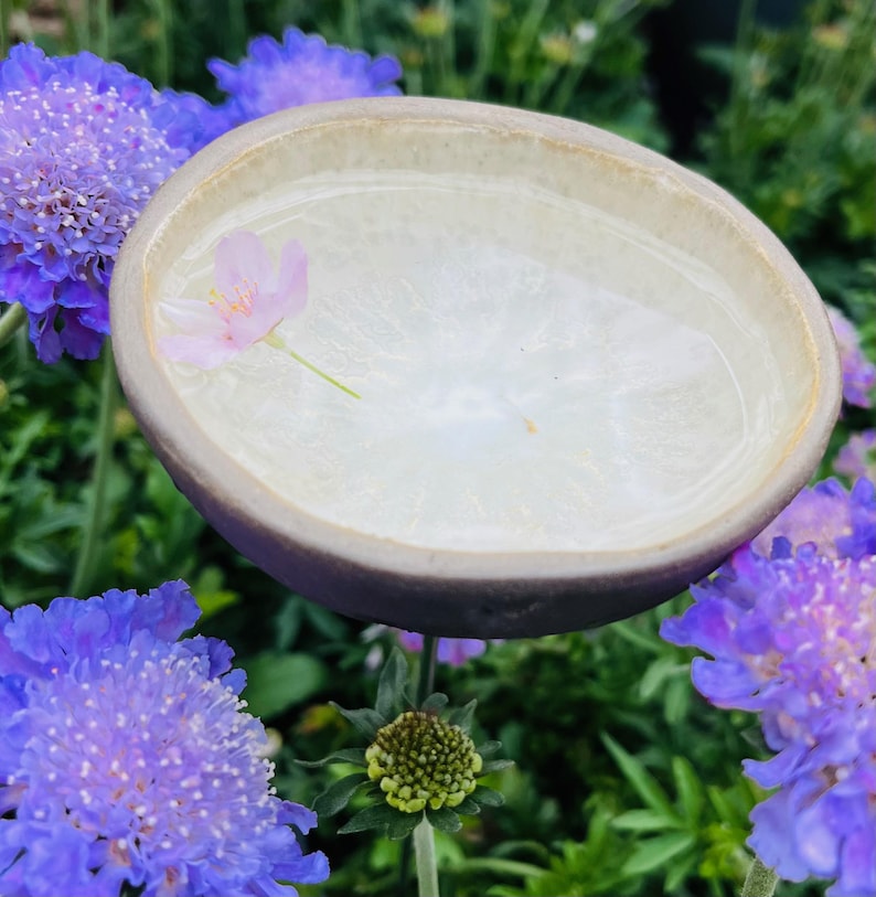 May include: A small, white ceramic bird bath with a single pink flower floating in the water. The bird bath is sitting on a metal stand in a garden setting.