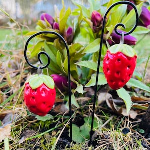Può includere: Due ciondoli di fragola in ceramica rossa appesi a paletti da giardino in metallo nero. Le fragole hanno foglie verdi e sono dettagliate con piccoli semi bianchi.