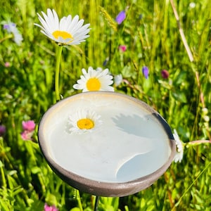 Regenfänger/Insektentränken/Bienentränken 3 verschieden Größen 6 Farben INKLUSIVE Edelstahlstab