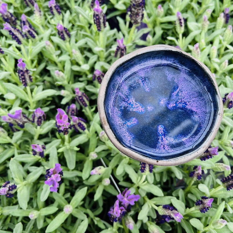 May include: A small, round, blue ceramic dish with a speckled purple glaze. The dish is sitting on a bed of lavender plants.