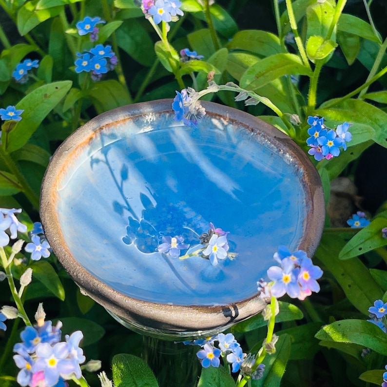 May include: A small blue ceramic bird bath with a brown rim sits in a bed of blue forget-me-not flowers. The water in the bird bath reflects the blue flowers.