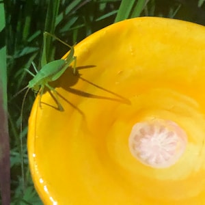 Puede incluir: Un saltamontes verde posado en el borde de un plato de cerámica amarillo con un círculo central blanco.