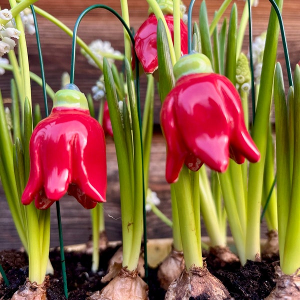 FLEURS EN CÉRAMIQUE Campanules/Coupes de mars/perce-neige en argile DÉCORATION