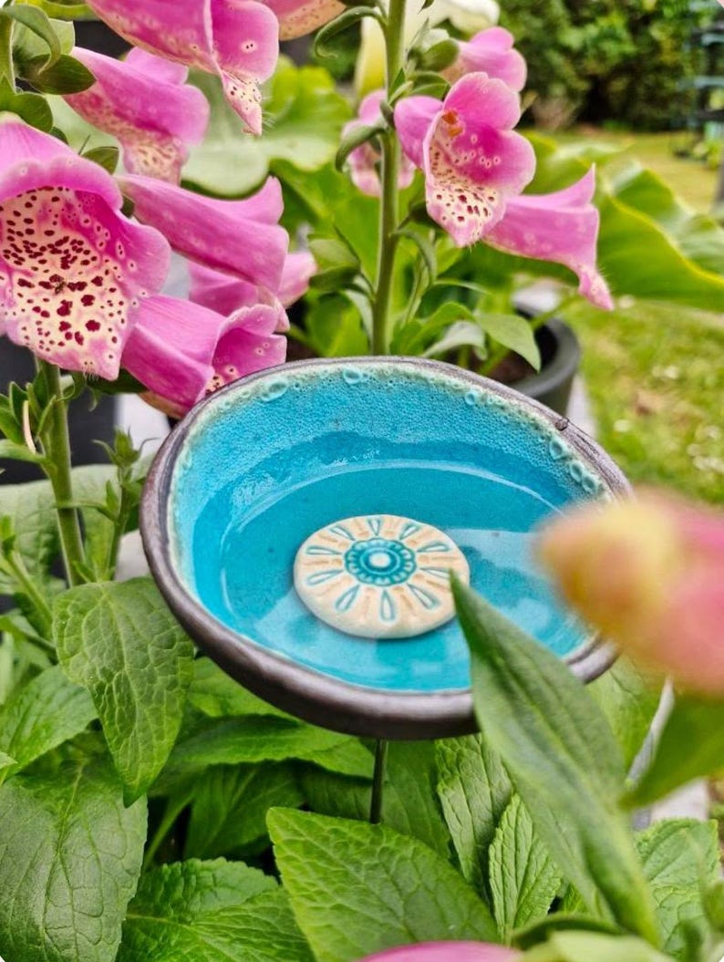 Rain catchers/insect drinkers/bee drinkers 3 different sizes 6 colors türkisblüte