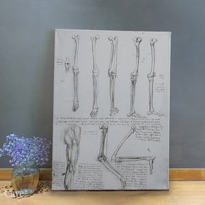 Da Vinci Anatomy Print Bones Legs Cotton Canvas, Digital Print, Anatomy Art, Aesthetic Decor, Modern Print, Mid Century #665