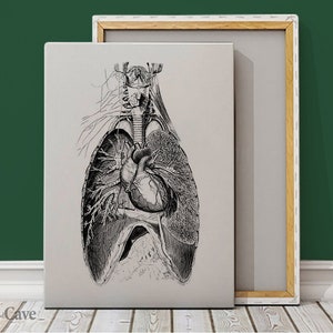 Retro Anatomical Prints Cotton Canvas, Digital Print, Anatomy Art, Wall Hanging Decor, Room Decoration, Iconic Designer #625
