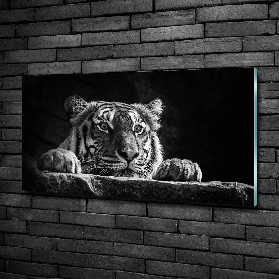 Glass Wall Art, Wild Animal Glass Print, Black Glass Picture, Gray Wall