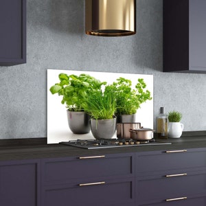 Kitchen Glass Panel, Wall Protector, Herbs In Pots Kitchen Backsplash, Green Wall, Gray Glass Splashback, Flavoring Kitchen Wall Protection