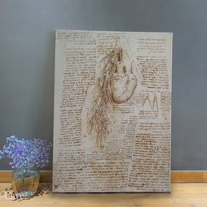 Da Vinci Anatomy Print Medical Art Human Cotton Canvas, Digital Print, Anatomy Art, Aesthetic Decor, Doctors Office, Rare Art #523