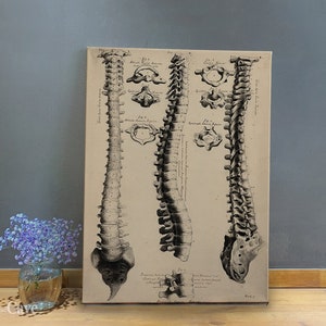 Retro Anatomical Print John Fotherby Cotton Canvas, Digital Print, Anatomy Art, Antique Decor, Home Interior, Eco Friendly #655