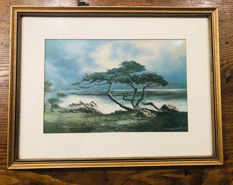 Vintage framed coastal picture